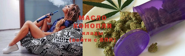 индика Каменка