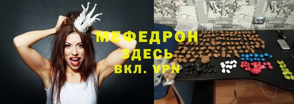 индика Каменка