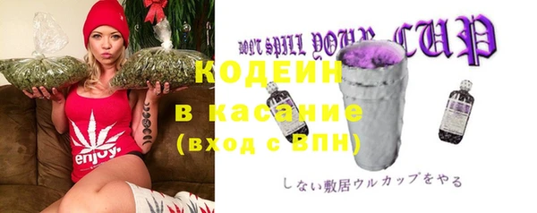 сатива Иннополис