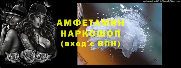 сатива Иннополис