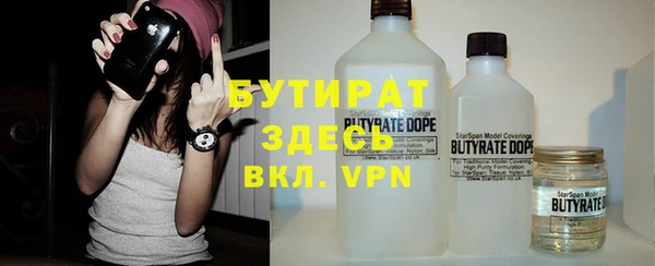 индика Каменка