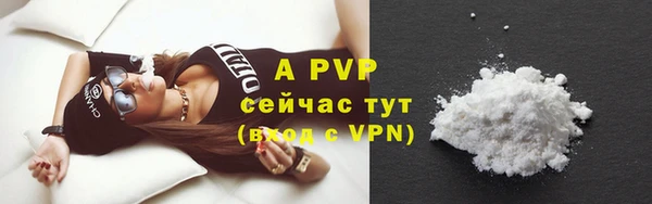 гашик Инсар