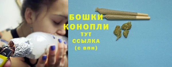 гашик Инсар