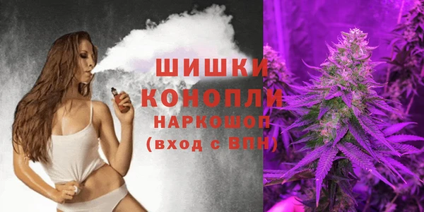 сатива Иннополис