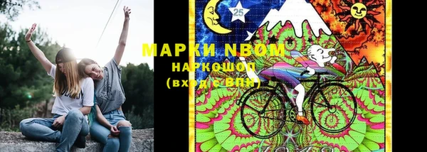индика Каменка