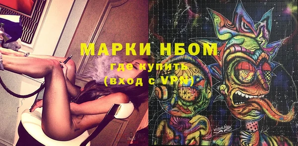 индика Каменка