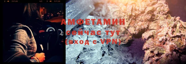 сатива Иннополис