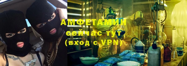 индика Каменка