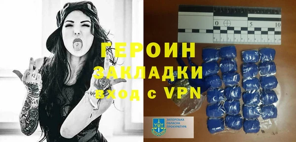 индика Каменка