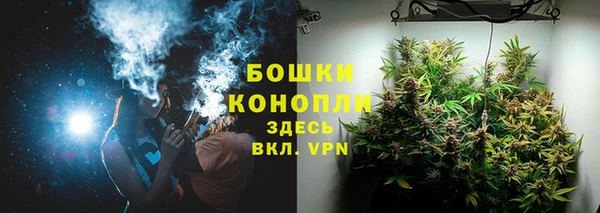 сатива Иннополис