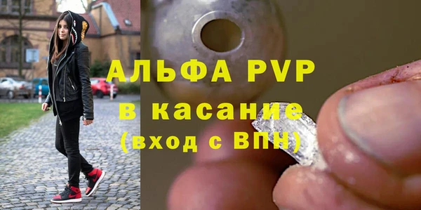 сатива Иннополис