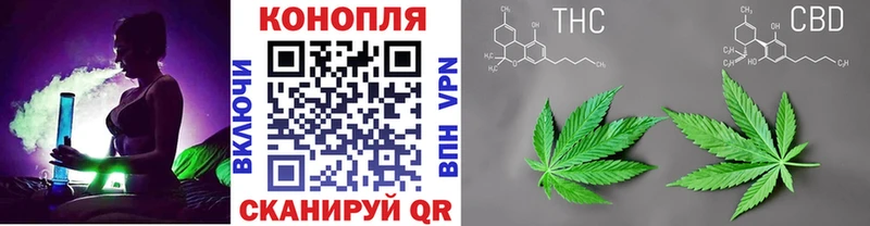 Бошки марихуана план  Новомосковск 